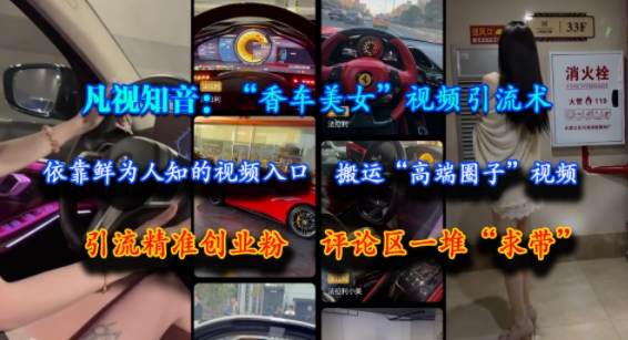 凡视知音:“香车美女”视频引流术,依靠鲜为人知的视频入口,搬运“高端圈子”视频,引流精准创业粉,评论区一堆“求带”-互联网资源大全网