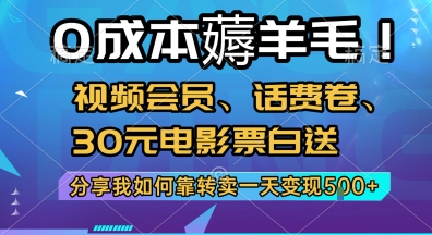 0成本薅羊毛!视频会员、话费卷、30元电影票白送,分享我如何靠转卖一天变现5张+【揭秘】-互联网资源大全网