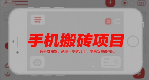 手机搬砖项目,有手就能做,亲测一小时几十,苹果安卓都可以-互联网资源大全网