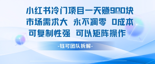 小红书冷门项目一天收益9张,市场需求大,0成本,可复制性强可以矩阵操作-互联网资源大全网