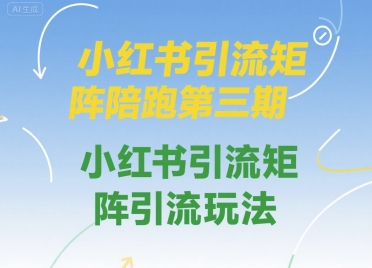 小红书引流矩阵陪跑第三期，小红书引流矩阵引流玩法-互联网资源大全网