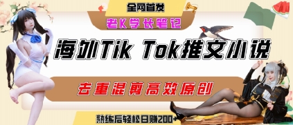 海外tiktok小说推文暴力项目,高停留率,高转化率,上手后一天搞顿饭钱不是问题-第一资源库