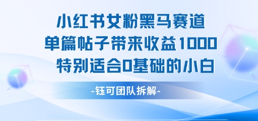 小红书女粉黑马赛道单篇帖子带来收益1k+，特别适合0基础的小白-互联网资源大全网