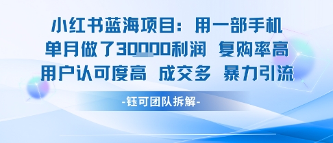 小红书蓝海项目,一部手机单月做了3W利润,小白也能月入过1W用户认可度高成交多-互联网资源大全网