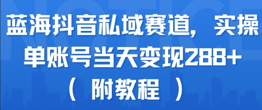 蓝海抖音私域赛道，实操单账号当天变现288+(附教程)-互联网资源大全网