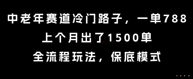 中老年赛道冷门路子，一单788，上个月出了1500单，全流程玩法，保底模式【揭秘】-互联网资源大全网