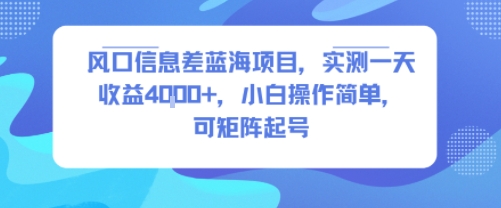 风口信息差蓝海项目,实测一天收益4k+,小白操作简单,可矩阵起号-互联网资源大全网
