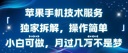 苹果手机技术服务，独家拆解，操作简单，小白可做，月过1W不是梦-互联网资源大全网
