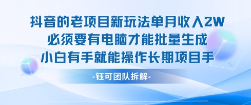 老项目新玩法单月收入2W小白有手就能操作长期项目-互联网资源大全网