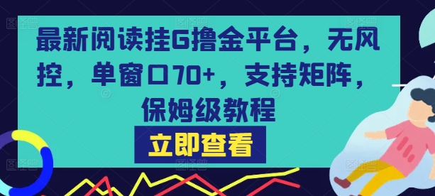 最新阅读挂G撸金平台，无风控，单窗口70+，支持矩阵，保姆级教程【揭秘】-互联网资源大全网