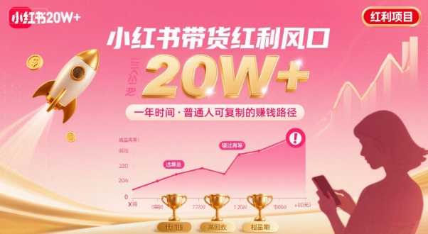 一年时间靠小红书带货项目年入20w+,最不能错的大红利项目-互联网资源大全网