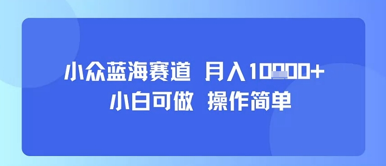小众蓝海赛道，小白可做，操作简单，每天30分钟，月入1W+-互联网资源大全网