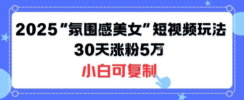 不露脸也能火!2025“氛围感美女”短视频玩法,30天涨粉5W小白可复制-互联网资源大全网