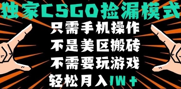CSGO自动捡漏项目,最新独家玩法,不是美区搬砖,不需要了解和玩游戏,新手小白轻松月入1W+【揭秘】-互联网资源大全网