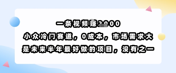一条视频挣1k,小众冷门赛道,0成本,市场需求大,是未来半年最好做的项目,没有之一-互联网资源大全网