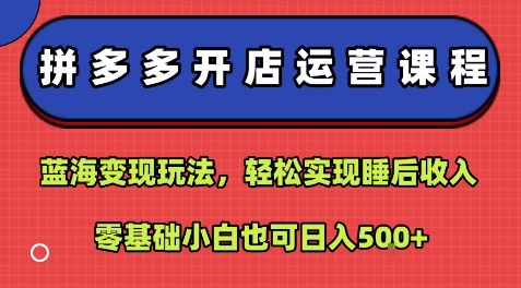 拼多多开店运营课程:蓝海变现玩法,轻松实现睡后收入,零基础小白也可日入5张-互联网资源大全网