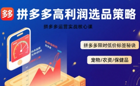 拼多多选品暴利技术实战课，拼多多高利润选品策略，拼多多限时低价标签秘诀-互联网资源大全网