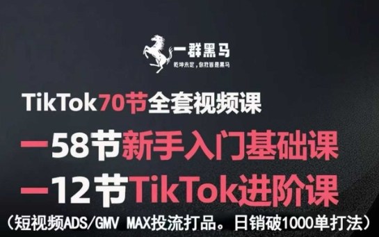 TikTok全套视频课,新手入门+进阶课,短视频ADS-GMV MAX投流打品,日销破1000单打法-互联网资源大全网