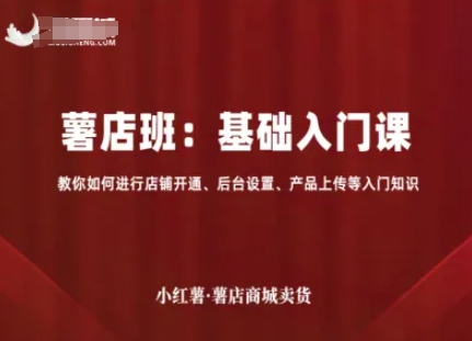 小红薯薯店商城卖货,基础入门课,教你如何进行店铺开通、后台设置、产品上传等入门知识-互联网资源大全网