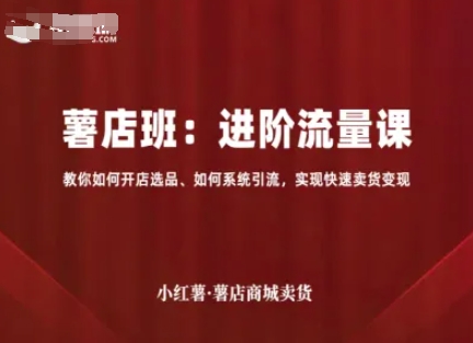 小红薯薯店商城卖货,进阶流量课,教你如何开店选品、如何系统引流,实现快速卖货变现-互联网资源大全网