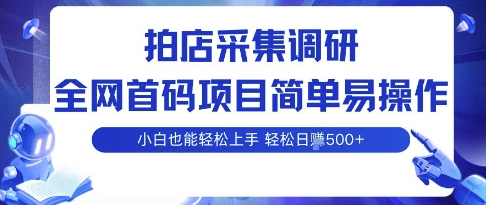 拍店采集调研,全网首码项目,简单易操作, 小白也能轻松上手,多账号操作,轻松日入5张【揭秘】-互联网资源大全网