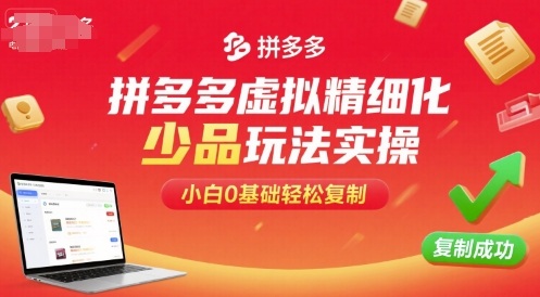 拼多多虚拟精细化少品玩法实操,小白0基础轻松复制-互联网资源大全网