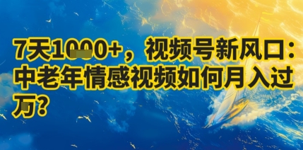 7天收益1k+，视频号新风口：中老年情感视频如何月入过W?-互联网资源大全网