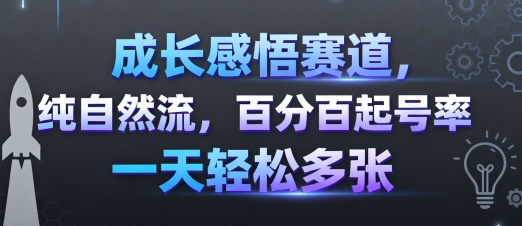 成长感悟赛道,纯自然流,百分百起号率 一天轻松多张-互联网资源大全网