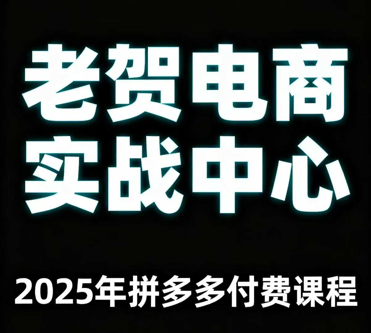 老贺电商2025年拼多多付费课程，用通俗易懂的方法告诉你多多怎么玩-互联网资源大全网