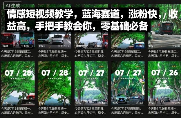 情感短视频教学,蓝海赛道,涨粉快,收益高,手把手教会你,零基础必备-互联网资源大全网