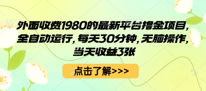 外面收费1980的最新平台撸金项目,全自动运行,每天30分钟,无脑操作,当天收益3张【揭秘】-互联网资源大全网