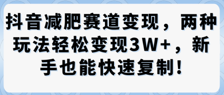 抖音减肥赛道变现,两种玩法轻松变现3W+,新手也能快速复制-互联网资源大全网