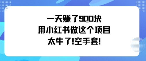 一天挣了9张用小红书做这个项目太牛了，空手套-互联网资源大全网
