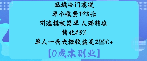 私域冷门赛道:单个收费198米引流模板简单人群精准转化45%单人一天大概收益是1k+-互联网资源大全网