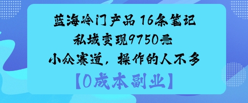 蓝海冷门产品：16条笔记私域变现9750米小众赛道，操作的人不多-互联网资源大全网