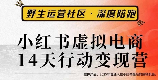 小红书虚拟电商14天变现训练营3.0,虚拟产品,2025年普通人在小红书最后的搞钱机会-互联网资源大全网