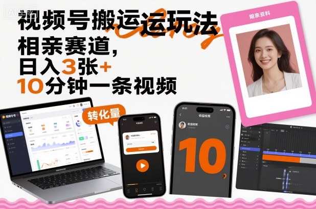 视频号搬运玩法，相亲赛道，日入3张+，10分钟一条视频-互联网资源大全网