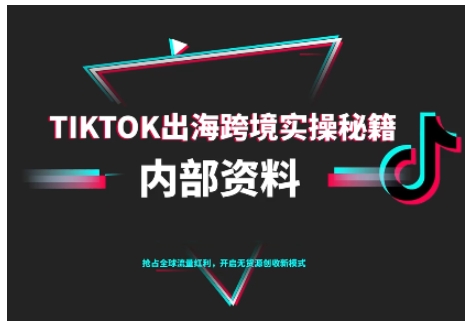 TikTok跨境电商0-1搭建运营,TK出海跨境实操秘籍(10月更新)-互联网资源大全网