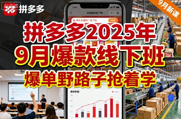 拼多多2025年9月爆款线下班，爆单野路子抢着学-互联网资源大全网