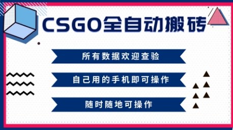 CSGO全自动搬砖,年底钱回家好项目,当天可拿到结果,新手小白轻松月入1W+【揭秘】-互联网资源大全网