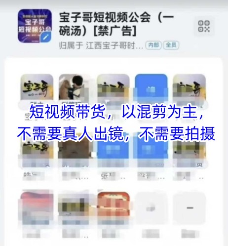 宝子哥头部团队短视频带货,以混剪为主,不需要真人出镜,不需要拍摄【更新11月】-第一资源库