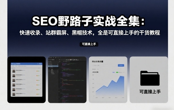 SEO野路子实战全集:快速收录、站群霸屏、黑帽技术,全是可直接上手的干货教程-第一资源库