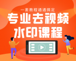 专业去视频水印教程 静态水印、动态水印、文字水印、图片水印一套教程通通搞定-互联网资源大全网