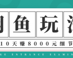 龟课·闲鱼项目玩法实战班第12期，操作10天左右利润有8000元细节玩法-互联网资源大全网