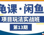 龟课·闲鱼项目玩法实战班第13期，轻松玩转闲鱼，多渠道多方法引流到私域流量池-第一资源库