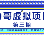 力哥实操内训虚拟项目第三期,每单几十块到几百甚至几千,日赚300-500+-互联网资源大全网