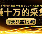 年赚十万的采集站,每天却只需要1小时,一年时间采集出一个售价10W以上的网站-互联网资源大全网