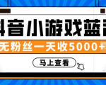 赚钱计划:抖音小游戏蓝海项目,无粉丝一天收入5000+-互联网资源大全网
