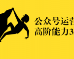 公众号运营高阶能力35讲，从月薪3k到月薪30k，新媒体人的必修课-互联网资源大全网