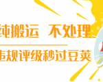 抖音纯搬运 不处理 小技巧,30秒发一个作品,避免违规评级秒过豆荚-互联网资源大全网